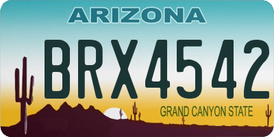 AZ license plate BRX4542
