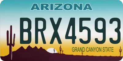 AZ license plate BRX4593