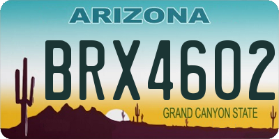 AZ license plate BRX4602