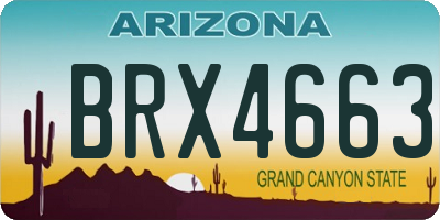 AZ license plate BRX4663
