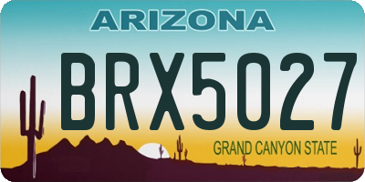 AZ license plate BRX5027