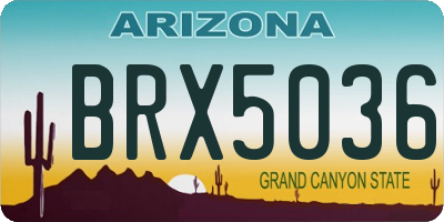 AZ license plate BRX5036