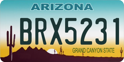 AZ license plate BRX5231