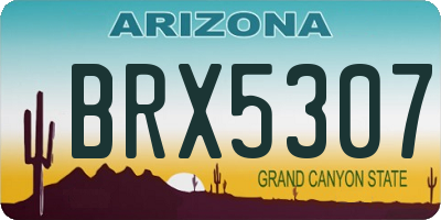 AZ license plate BRX5307