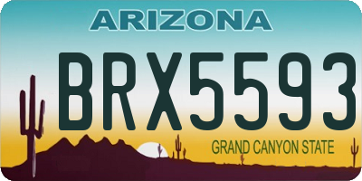 AZ license plate BRX5593