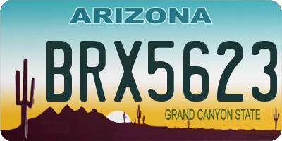 AZ license plate BRX5623