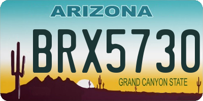 AZ license plate BRX5730