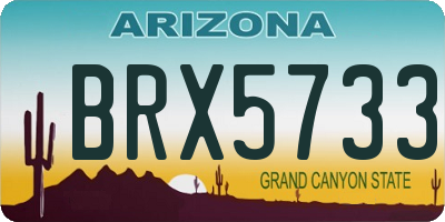 AZ license plate BRX5733