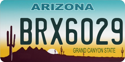 AZ license plate BRX6029