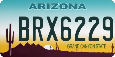 AZ license plate BRX6229