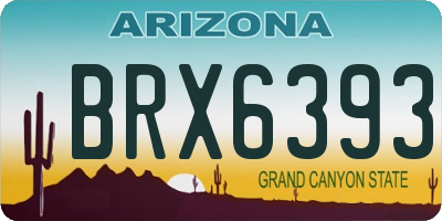 AZ license plate BRX6393