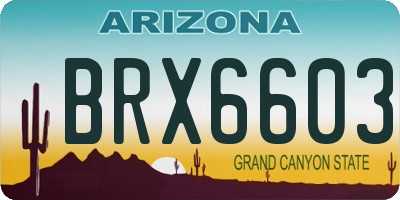 AZ license plate BRX6603