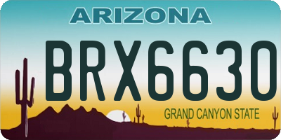 AZ license plate BRX6630