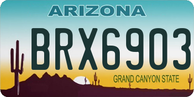 AZ license plate BRX6903