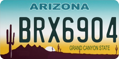 AZ license plate BRX6904