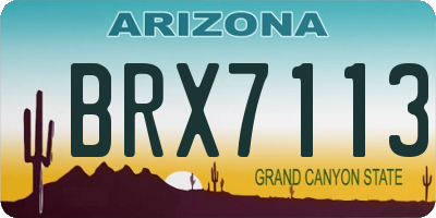 AZ license plate BRX7113