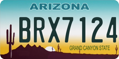 AZ license plate BRX7124