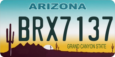 AZ license plate BRX7137