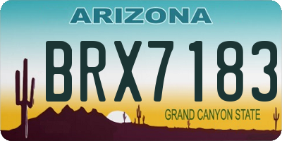 AZ license plate BRX7183