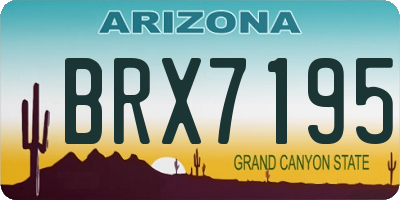 AZ license plate BRX7195