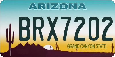 AZ license plate BRX7202