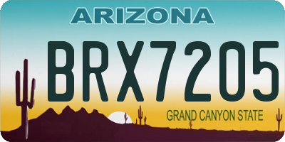AZ license plate BRX7205