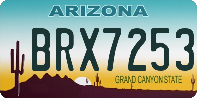 AZ license plate BRX7253