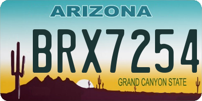 AZ license plate BRX7254