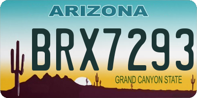 AZ license plate BRX7293
