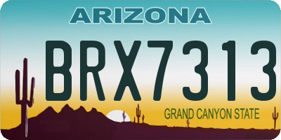 AZ license plate BRX7313