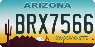 AZ license plate BRX7566