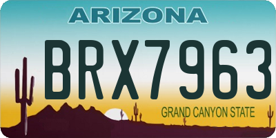 AZ license plate BRX7963