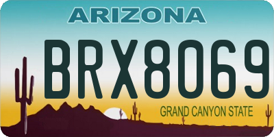 AZ license plate BRX8069