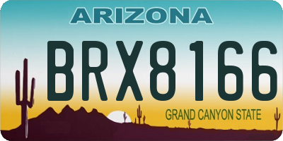 AZ license plate BRX8166