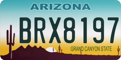 AZ license plate BRX8197