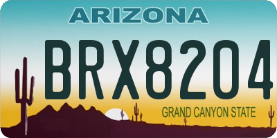 AZ license plate BRX8204