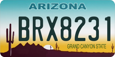 AZ license plate BRX8231