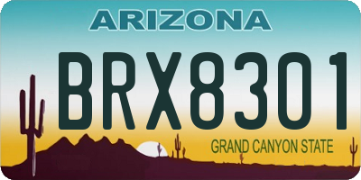 AZ license plate BRX8301