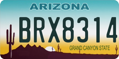 AZ license plate BRX8314