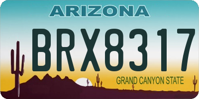 AZ license plate BRX8317