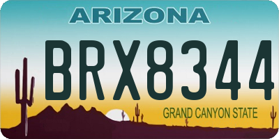 AZ license plate BRX8344