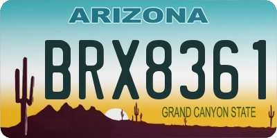 AZ license plate BRX8361
