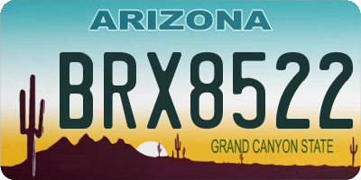 AZ license plate BRX8522