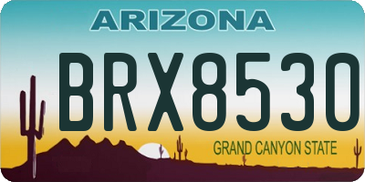 AZ license plate BRX8530