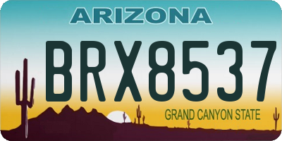 AZ license plate BRX8537