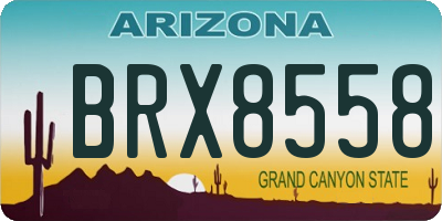 AZ license plate BRX8558