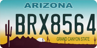 AZ license plate BRX8564