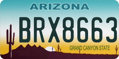AZ license plate BRX8663