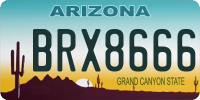 AZ license plate BRX8666