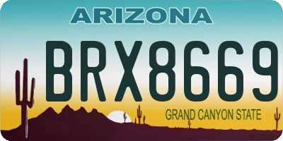 AZ license plate BRX8669